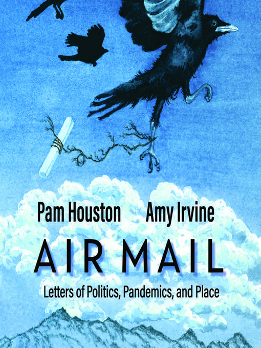 Cover image for Air Mail